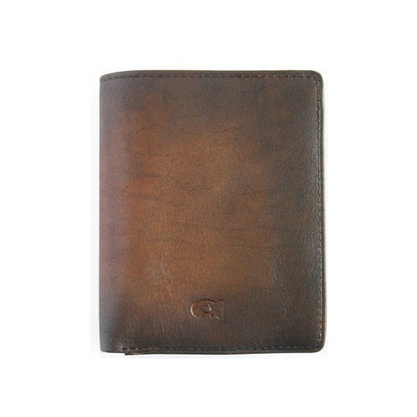 Pánská kožená peněženka Daag P06 - hnědá