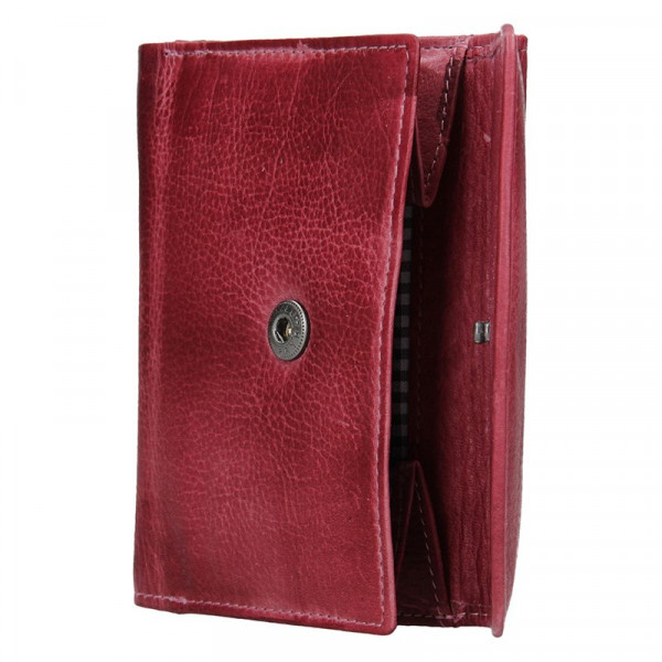Dámská kožená peněženka Lagen Norra - fialová