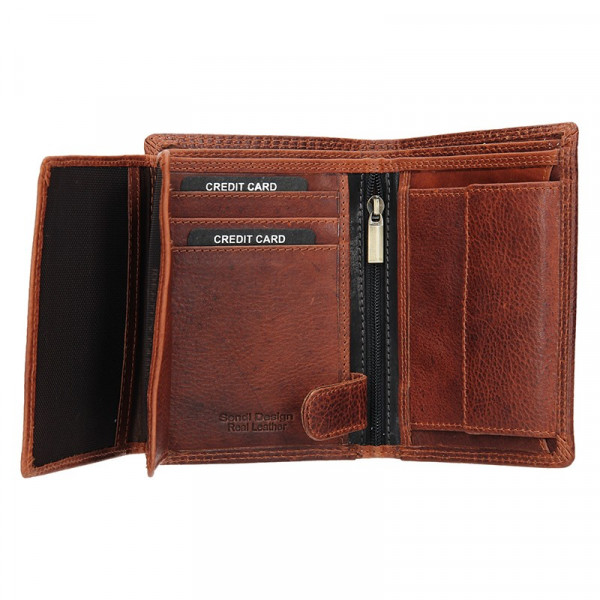 Pánská kožená peněženka SendiDesign Ulrich - hnědo-černá
