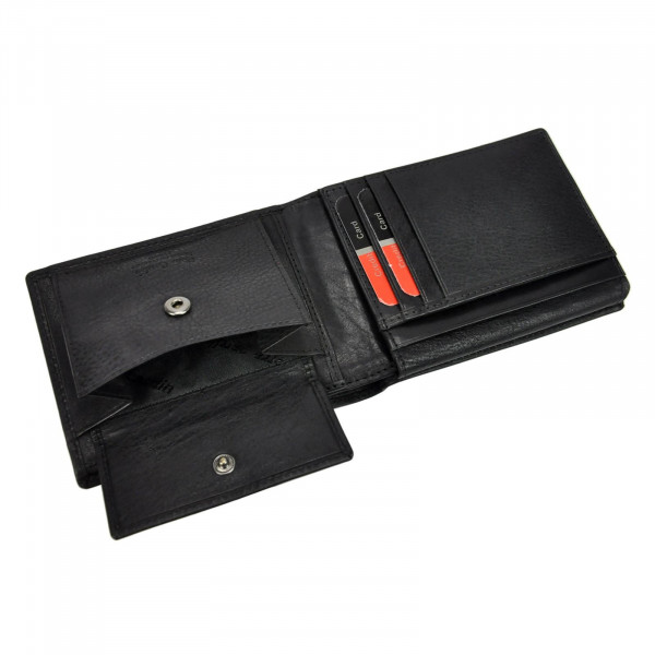 Pánská kožená peněženka Pierre Cardin Fabien - černá