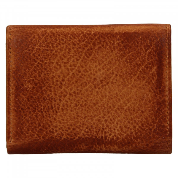 Dámská kožená slim peněženka Lagen Déborah - hnědá