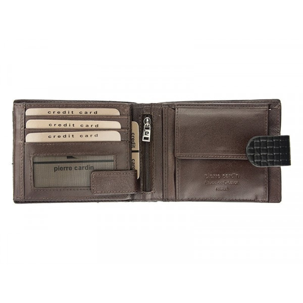Pánská kožená peněženka Pierre Cardin Albert - černá
