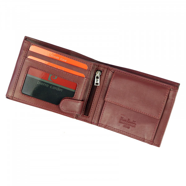 Pánská kožená peněženka Pierre Cardin David - černá