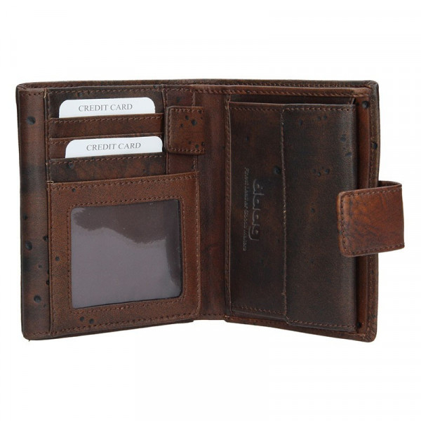 Pánská kožená peněženka Daag P11a - hnědá